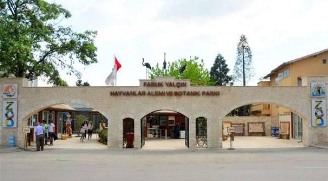 Darıca Faruk Yalçın Hayvanat Bahçesi'nde yüzde 50 indirim yapıldı