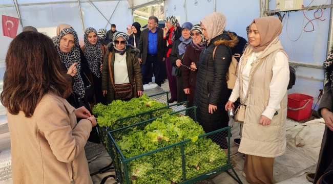 Darıca'da bulunan topraksız tarım projesine kadın çiftçilerden yoğun ilgi