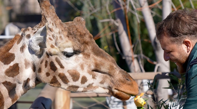 Darıca Faruk Yalçın Hayvanat Bahçesi'nin en uzun canlısına doğum günü sürprizi