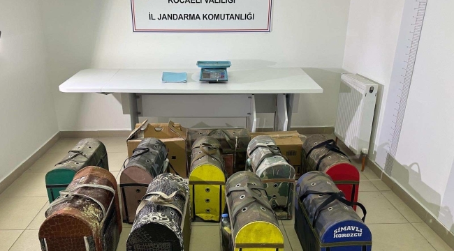 Horoz dövüştürüp bahis oynayan 35 kişiye 224 Bin TL para cezası kesildi