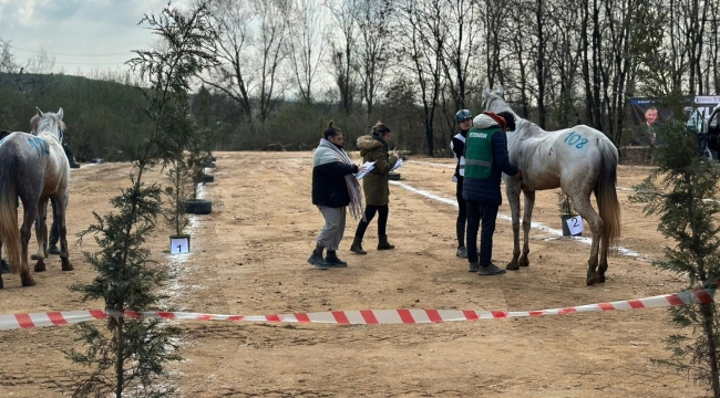  En dayanıklı atlar 120 km'lik parkurda yarıştı