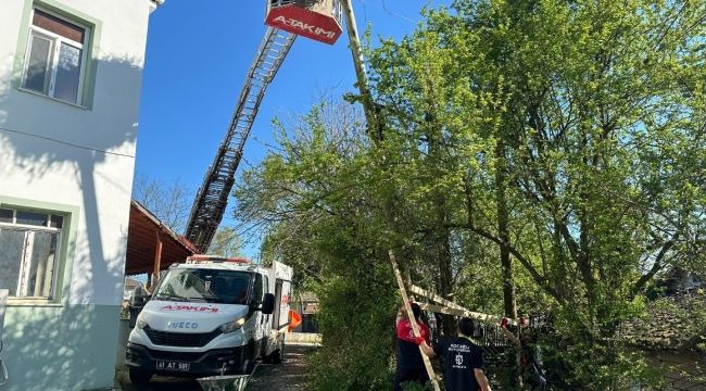 Büyükşehir, leyleklerin yuvasını yıkılmaktan kurtardı