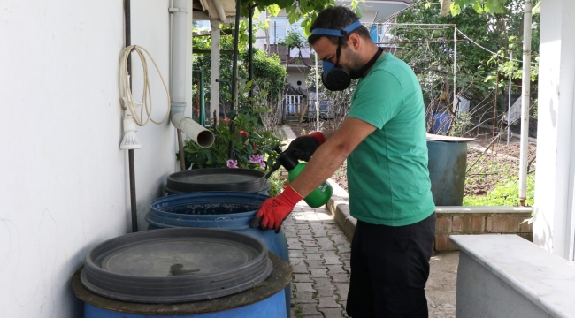 Sivrisinekler durgun sularda ürer
