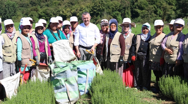 TABİP'te 2024 üretim sezonu tamamlandı