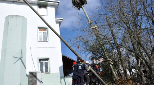 Büyükşehir'den leylek yuvasına güvenli dokunuş