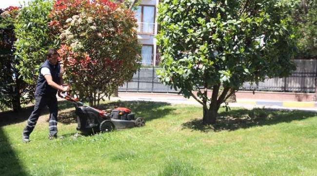Darıca Belediyesi'nden Yeşil Alanlarda Bahar Mesaisi