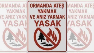 Kandıra'da ormanlarda ateş ve anız yakmak yasaklandı