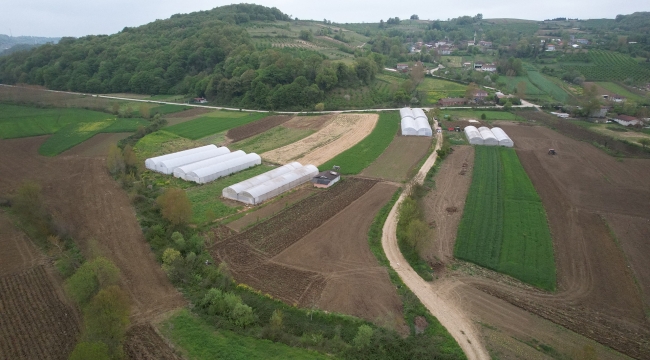 Kocaeli'nde tarım büyüyor, seracılık gelişiyor