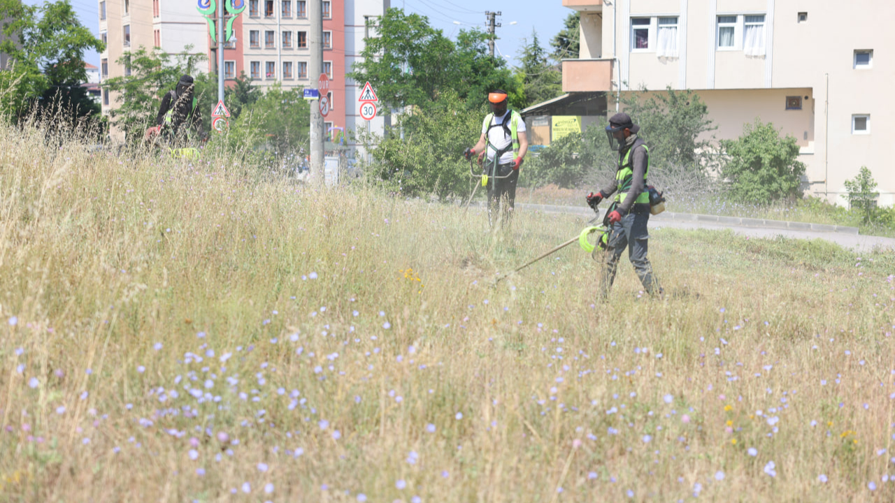 Boş arazilerdeki otlar biçiliyor