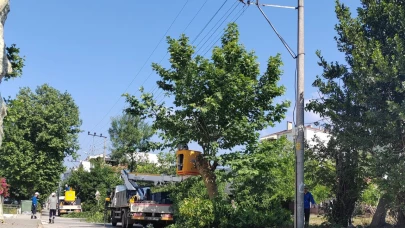 SEDAŞ, Kocaeli’de kesintisiz enerji için ağaç budama çalışmalarını sürdürüyor