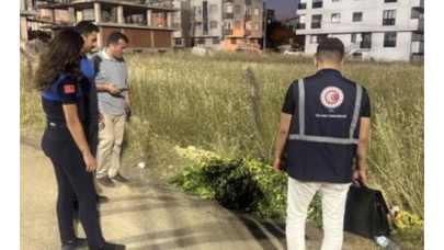 Darıca’da boş araziye salatalık döken kişiye 17 milyon TL'ye varan ceza verilecek