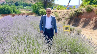 Çayırovalılar, lavanta hasadında bir araya geldi