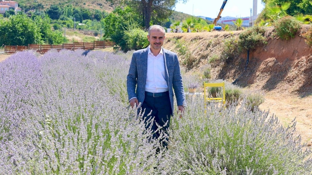 Çayırovalılar, lavanta hasadında bir araya geldi