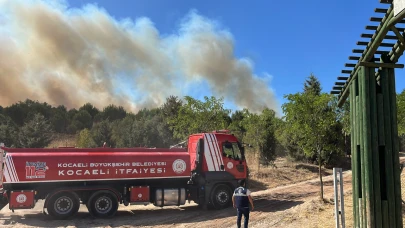 Gebze Beylikdağı Ormanı’nda yangın çıktı