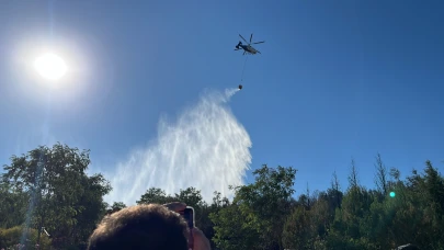 Gebze’deki orman yangını söndürüldü