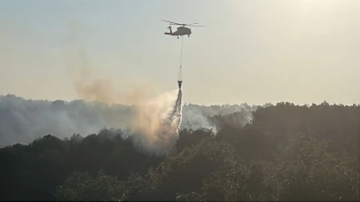 Gebze’de ormanlık alanda yangın çıktı!