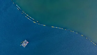 170 hektar alan dip çamurundan arındırıldı