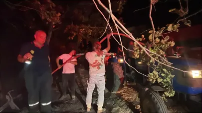 Köylülerin seferber olduğu orman yangını 3 saatte söndürüldü !