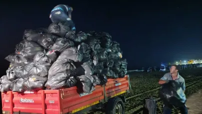 Kandıra sahillerinde 992 ton çöp toplandı