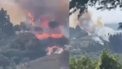 Kocaeli'de orman yangını
