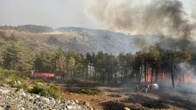 Büyükşehir’den Bursa’daki yangına tam destek