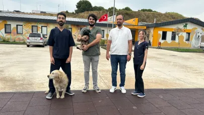 Zifte bulanmıştı, rehabilitasyon merkezinde yaşama tutundu