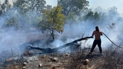 YANGIN YERLEŞİM YERİNE SIÇRADI