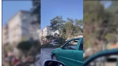 Gebze'de, rüzgar nedeniyle devrilen ağaç, aracın üzerine düştü