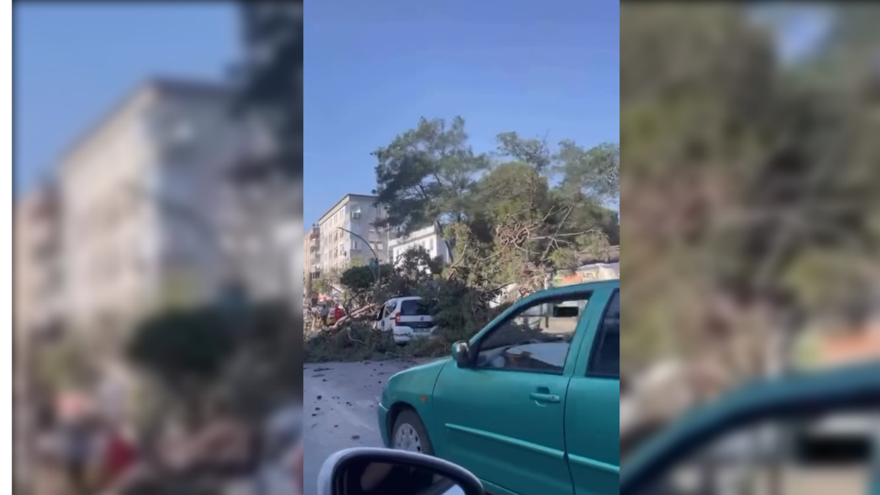 Gebze'de, rüzgar nedeniyle devrilen ağaç, aracın üzerine düştü