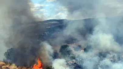 Kocaeli'de ot yangını; ekipler müdahale ediyor