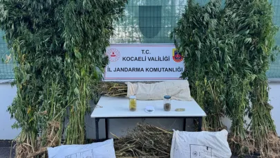 12 Kilo esrar, 583 kilo kenevir ele geçirildi