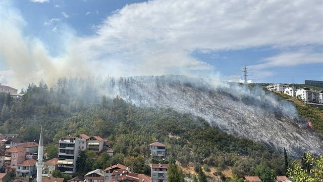 Kocaeli'deki yangına ilişkin 2 tutuklama