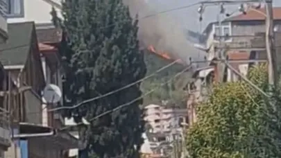 Kocaeli'de orman yangını
