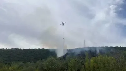 Kocaeli'deki orman yangını kontrol altında