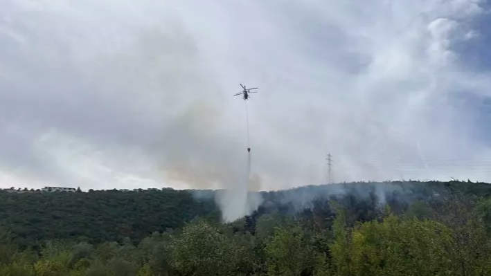 Kocaeli'deki orman yangını kontrol altında