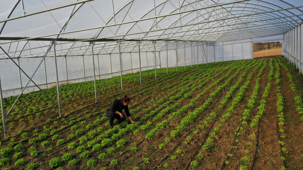 Büyükşehir’den çiftçilere modern sera desteği