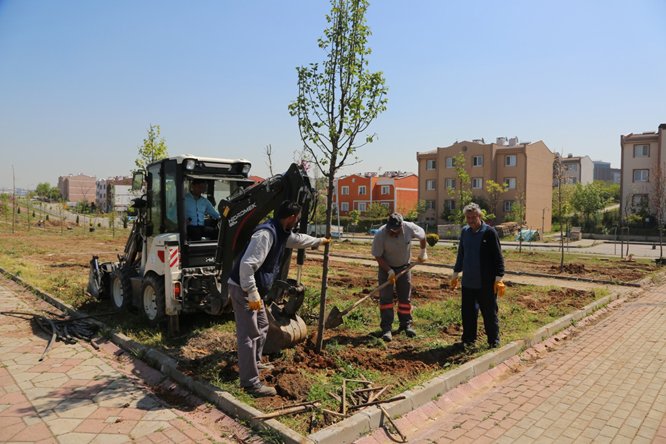  Dördüncü Mesire Alanı Yapılıyor