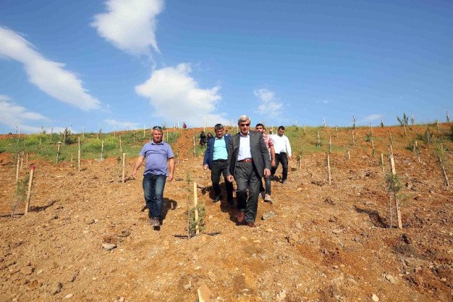 Karaosmanoğlu'ndan yeni yol müjdesi