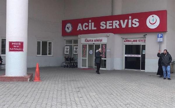 Anne-oğul, polisi darp ettiler