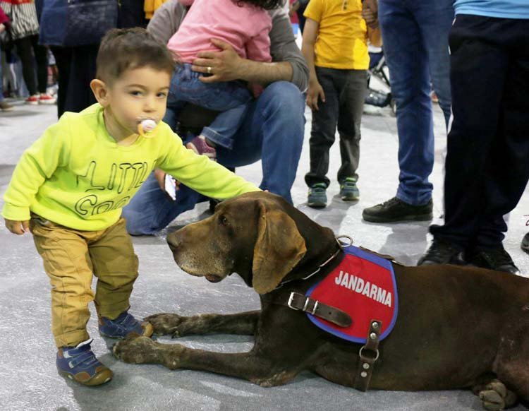 Bir dosttan da öte Jandarma köpeği Vaka