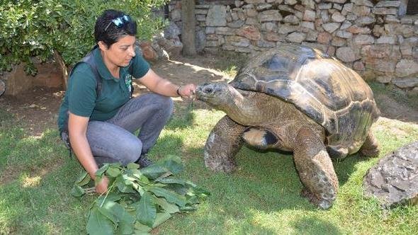 Darıcalı TUKİ, Dünya Şampiyonu'nu bildi