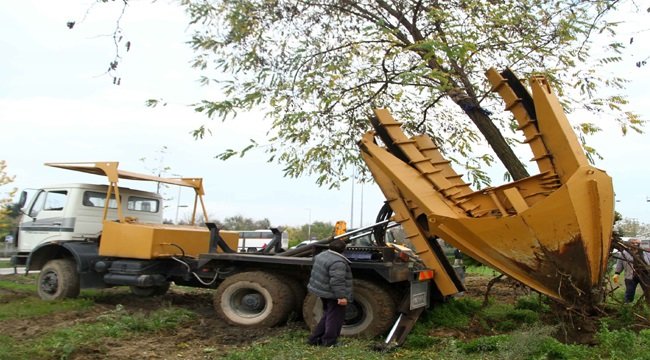 2 bin 500 ağaç metroya kurban mı gitti?