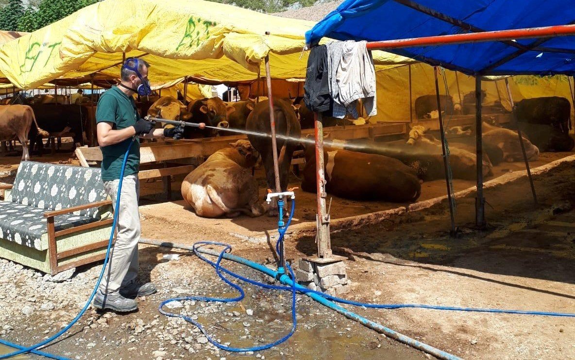 Kurban satış yerleri ilaçlanıyor