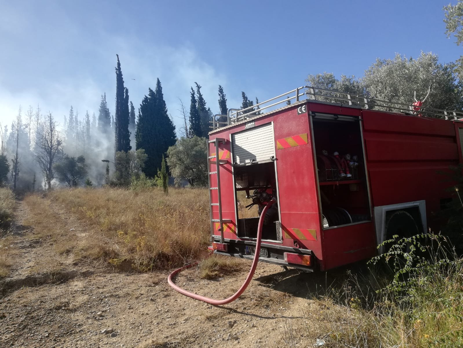 Eskihisar'da ormanlık alanda yangın çıktı