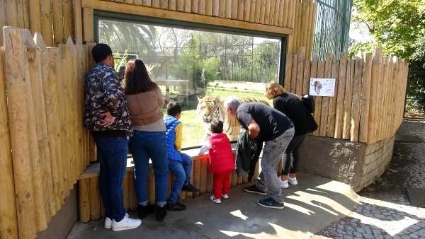 Hayvanat bahçesinde kış hazırlıkları başladı