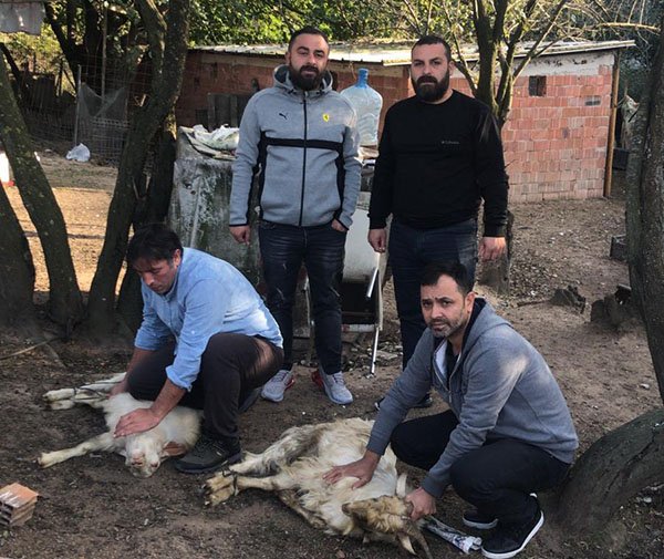 Şehit yakını askerler için kurban kestiler