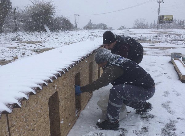  Darıca Belediyesi, sokak hayvanlarını unutmadı