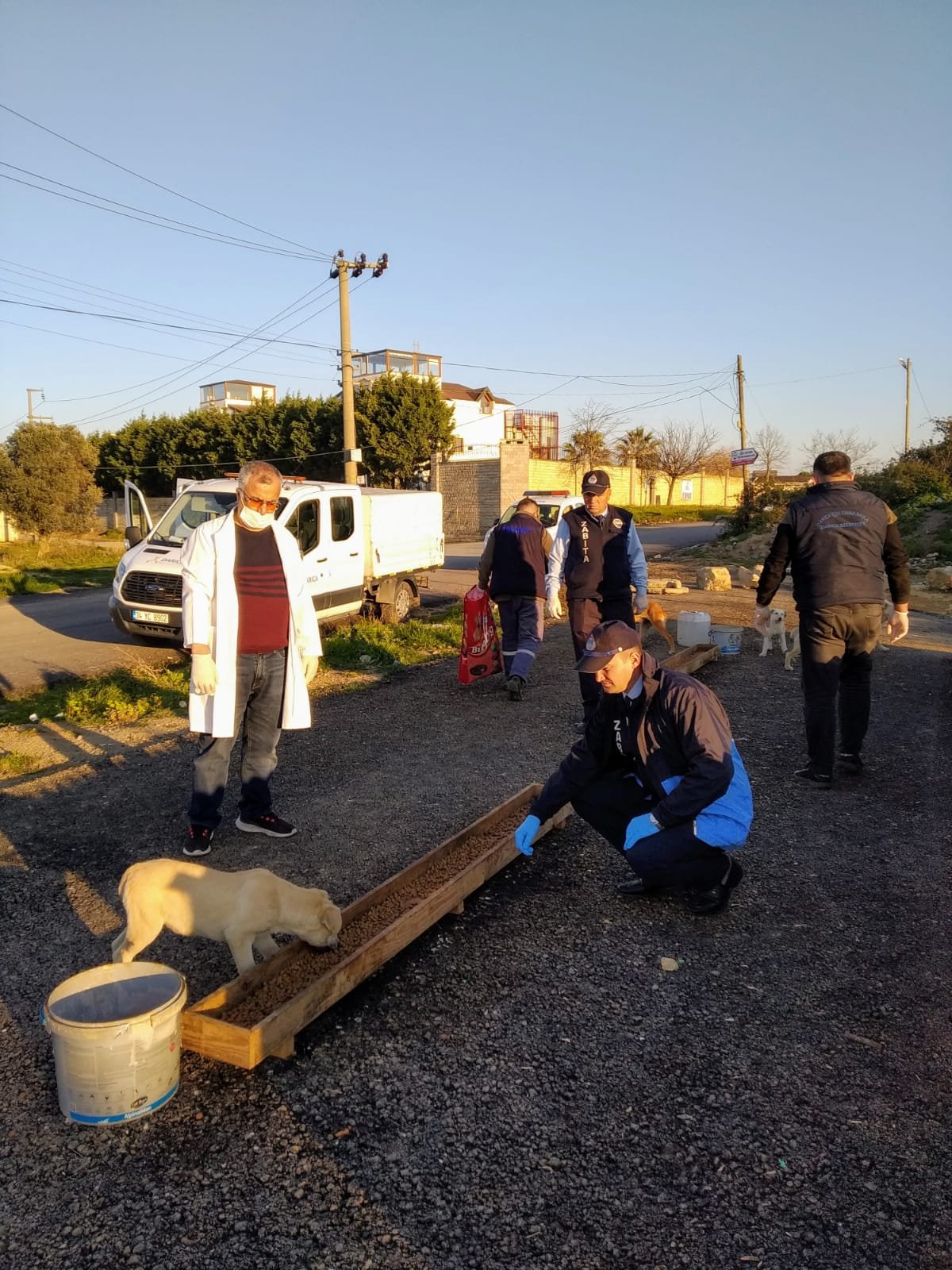 Darıca Belediyesi, sokak hayvanlarını unutmadı