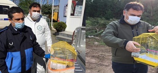 Darıca'da Saka kuşu avlayan kişi yakalandı