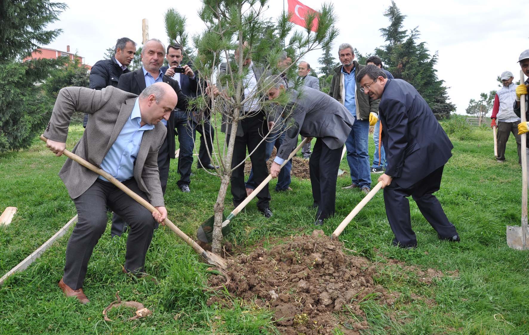 Ak Partililer ağaç dikti